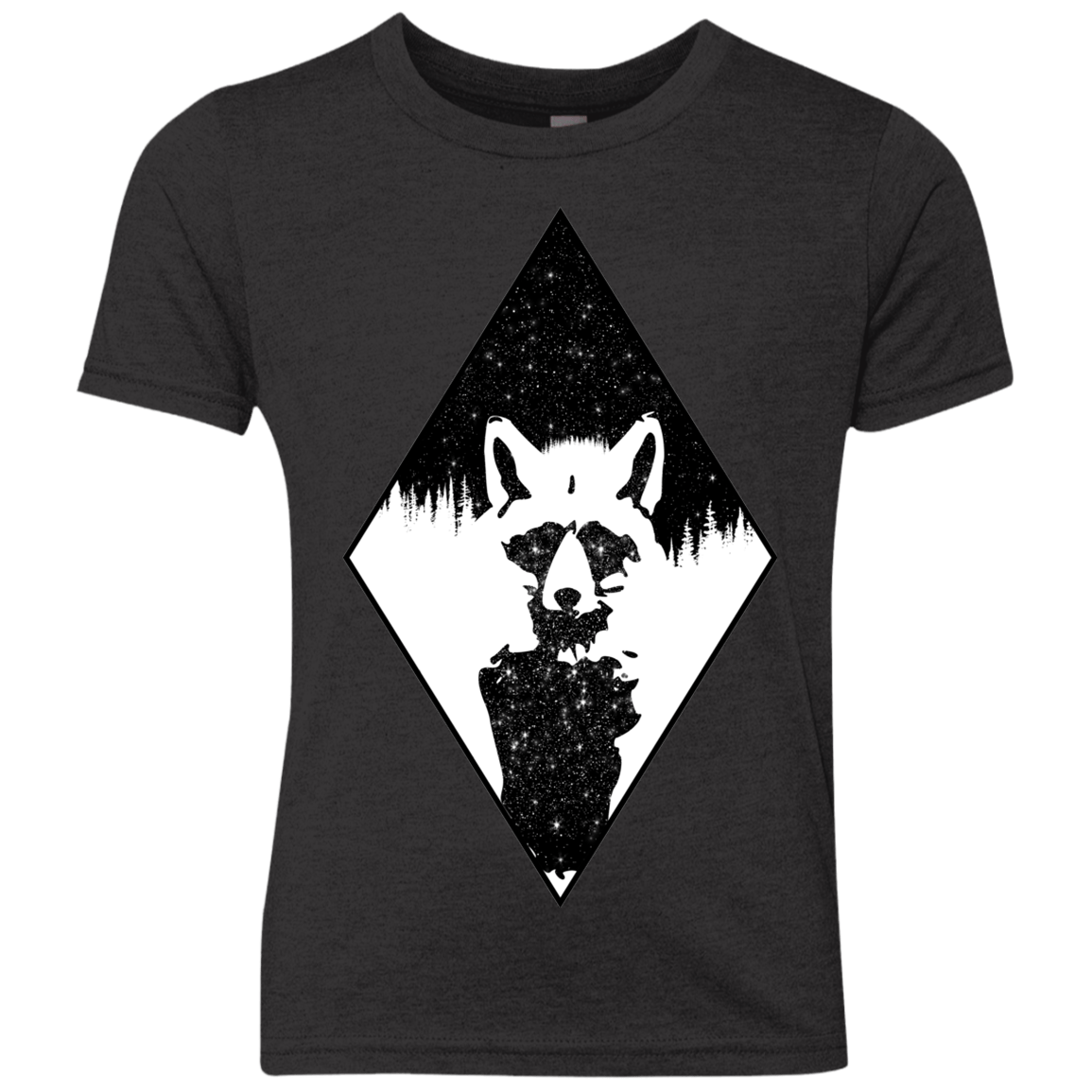 Starry Raccoon Youth Triblend T-Shirt