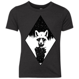 Starry Raccoon Youth Triblend T-Shirt