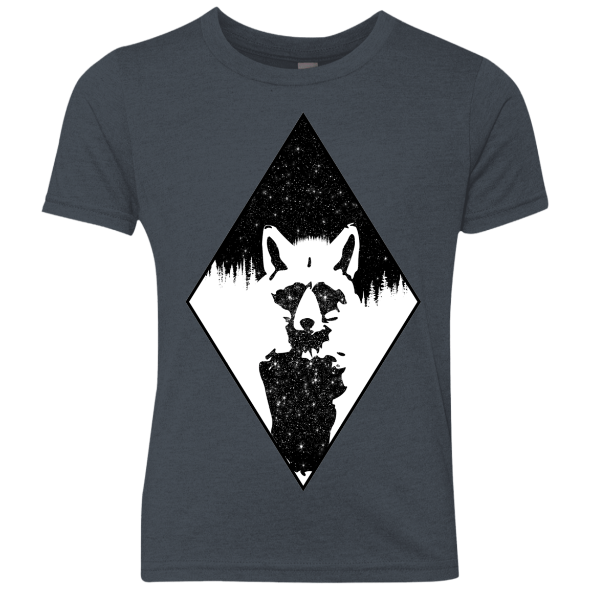 Starry Raccoon Youth Triblend T-Shirt