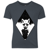 Starry Raccoon Youth Triblend T-Shirt