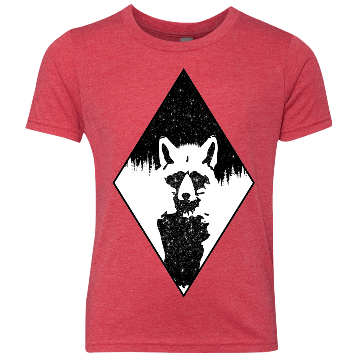 Starry Raccoon Youth Triblend T-Shirt