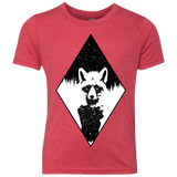 Starry Raccoon Youth Triblend T-Shirt