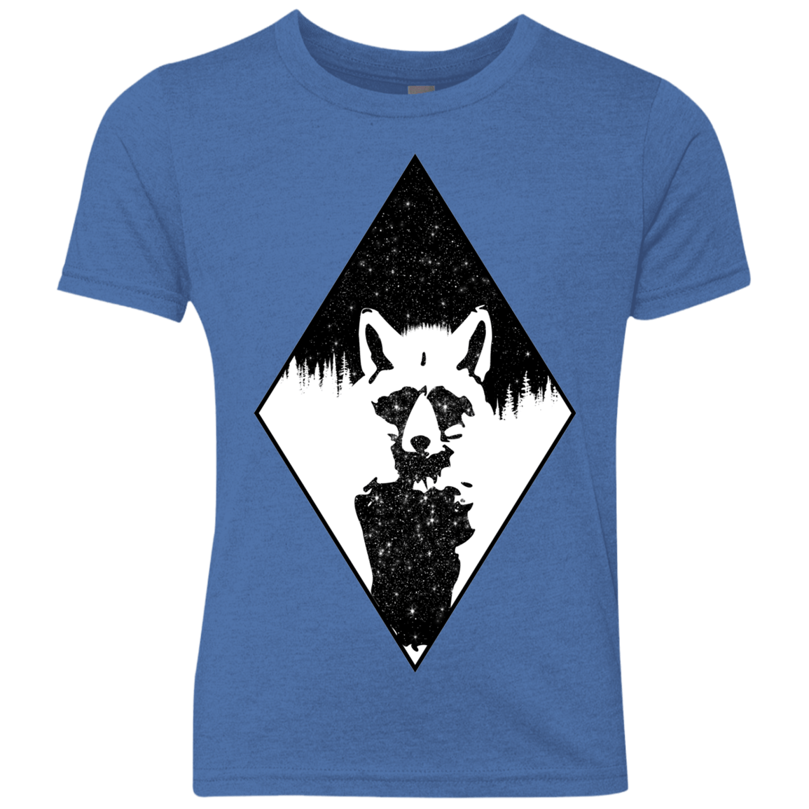 Starry Raccoon Youth Triblend T-Shirt
