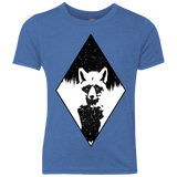 Starry Raccoon Youth Triblend T-Shirt