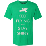 T-Shirts Envy / Small Stay Shiny Men's Triblend T-Shirt