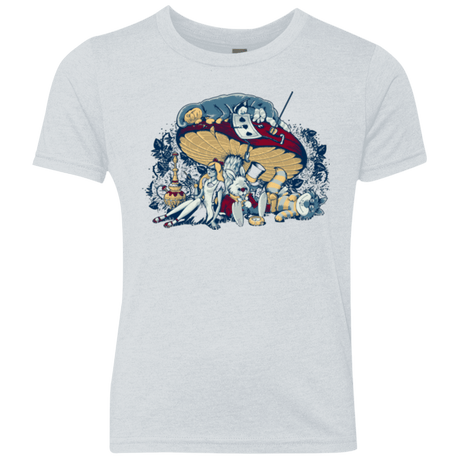 T-Shirts Heather White / YXS STONED IN WONDERLAND Youth Triblend T-Shirt