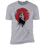 T-Shirts Heather Grey / YXS Storm Samurai Boys Premium T-Shirt