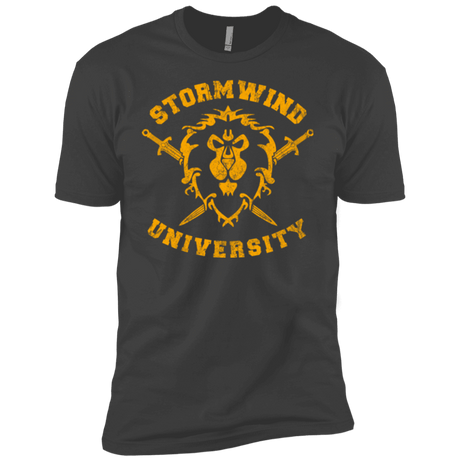 T-Shirts Heavy Metal / YXS Stormwind University Boys Premium T-Shirt