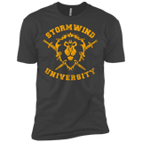T-Shirts Heavy Metal / X-Small Stormwind University Men's Premium T-Shirt