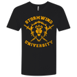 T-Shirts Black / X-Small Stormwind University Men's Premium V-Neck