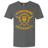 T-Shirts Heavy Metal / X-Small Stormwind University Men's Premium V-Neck