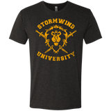 T-Shirts Vintage Black / Small Stormwind University Men's Triblend T-Shirt