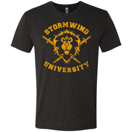 T-Shirts Vintage Black / Small Stormwind University Men's Triblend T-Shirt