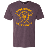 T-Shirts Vintage Purple / Small Stormwind University Men's Triblend T-Shirt