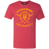 T-Shirts Vintage Red / Small Stormwind University Men's Triblend T-Shirt
