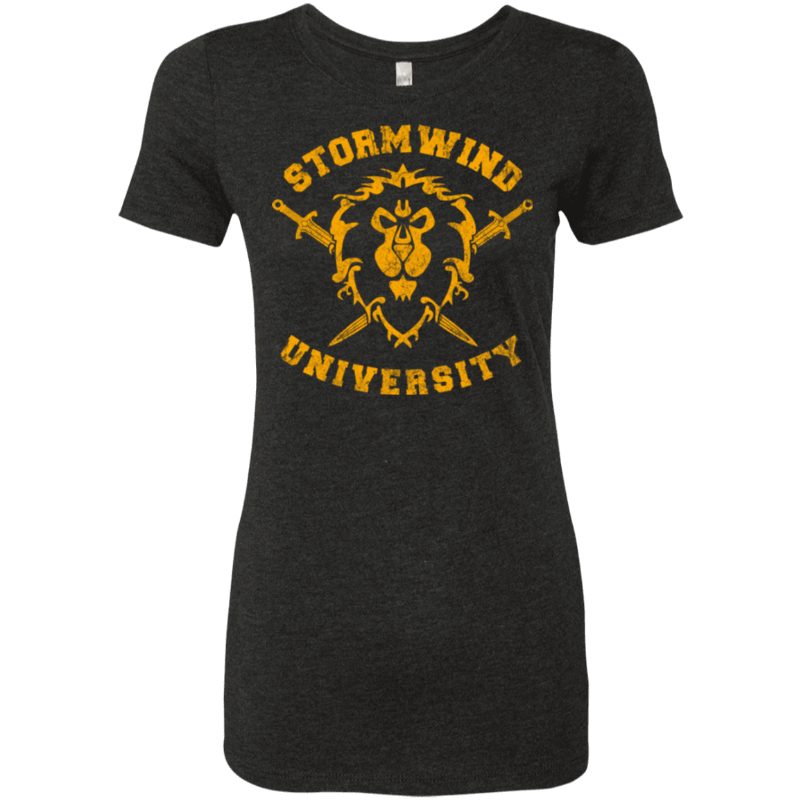 T-Shirts Vintage Black / Small Stormwind University Women's Triblend T-Shirt