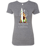 T-Shirts Premium Heather / Small Summer is Coming Women's Triblend T-Shirt