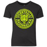 T-Shirts Vintage Black / YXS Sunnydale razorbacks Youth Triblend T-Shirt
