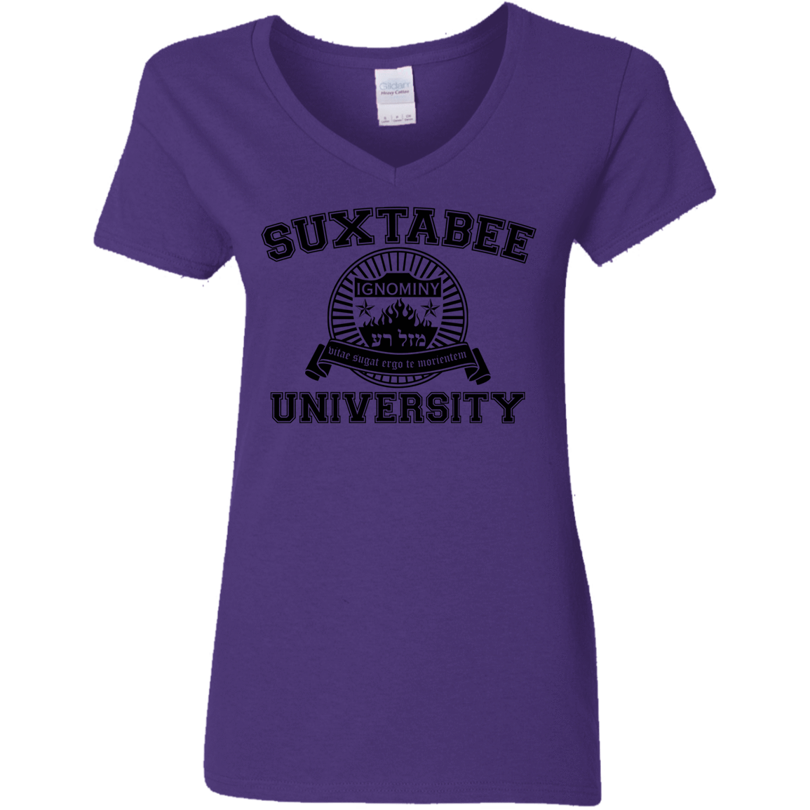 T-Shirts Purple / S SUX2BU Women's V-Neck T-Shirt