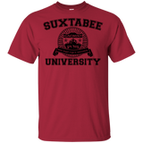 T-Shirts Cardinal / YXS SUX2BU Youth T-Shirt