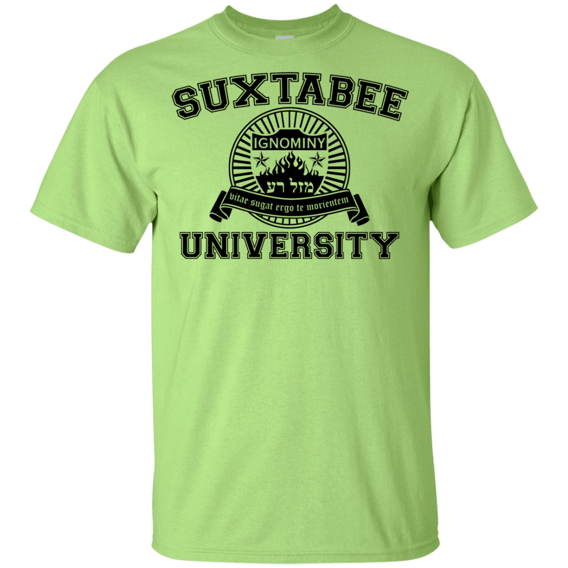 T-Shirts Mint Green / YXS SUX2BU Youth T-Shirt