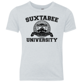 SUX2BU Youth Triblend T-Shirt
