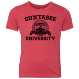 SUX2BU Youth Triblend T-Shirt