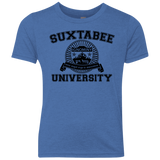 SUX2BU Youth Triblend T-Shirt
