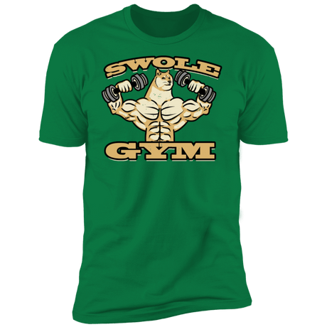 T-Shirts Kelly Green / S Swole Gym Men's Premium T-Shirt