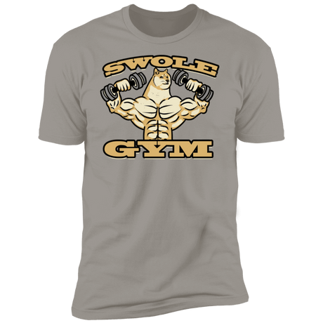 T-Shirts Light Grey / S Swole Gym Men's Premium T-Shirt