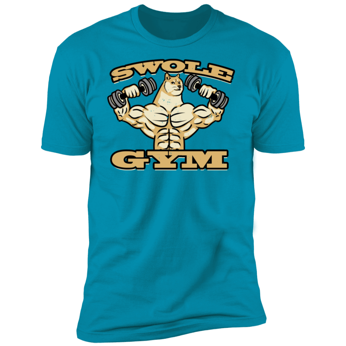 T-Shirts Turquoise / S Swole Gym Men's Premium T-Shirt