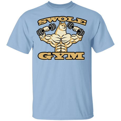 T-Shirts Light Blue / YXS Swole Gym Youth T-Shirt