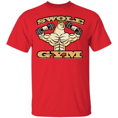 T-Shirts Red / YXS Swole Gym Youth T-Shirt