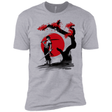 T-Shirts Heather Grey / YXS Swordsman Pirate Boys Premium T-Shirt