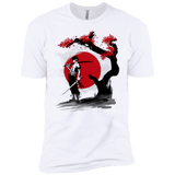 T-Shirts White / YXS Swordsman Pirate Boys Premium T-Shirt