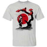 T-Shirts Ash / Small Swordsman Pirate T-Shirt