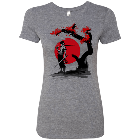 T-Shirts Premium Heather / Small Swordsman Pirate Women's Triblend T-Shirt