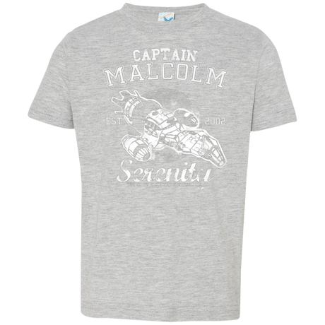 T-Shirts Heather / 2T Take to the Sky Toddler Premium T-Shirt