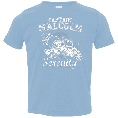 T-Shirts Light Blue / 2T Take to the Sky Toddler Premium T-Shirt