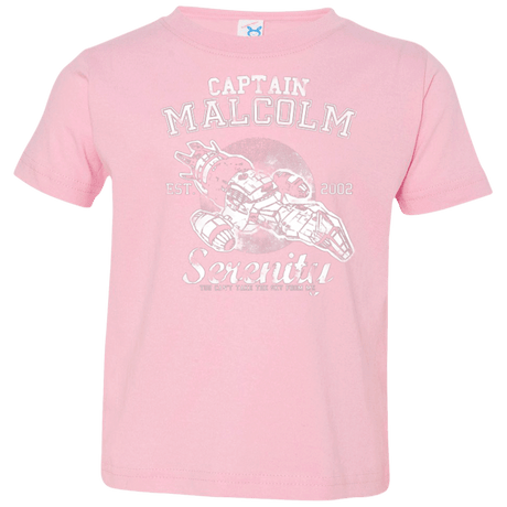 T-Shirts Pink / 2T Take to the Sky Toddler Premium T-Shirt