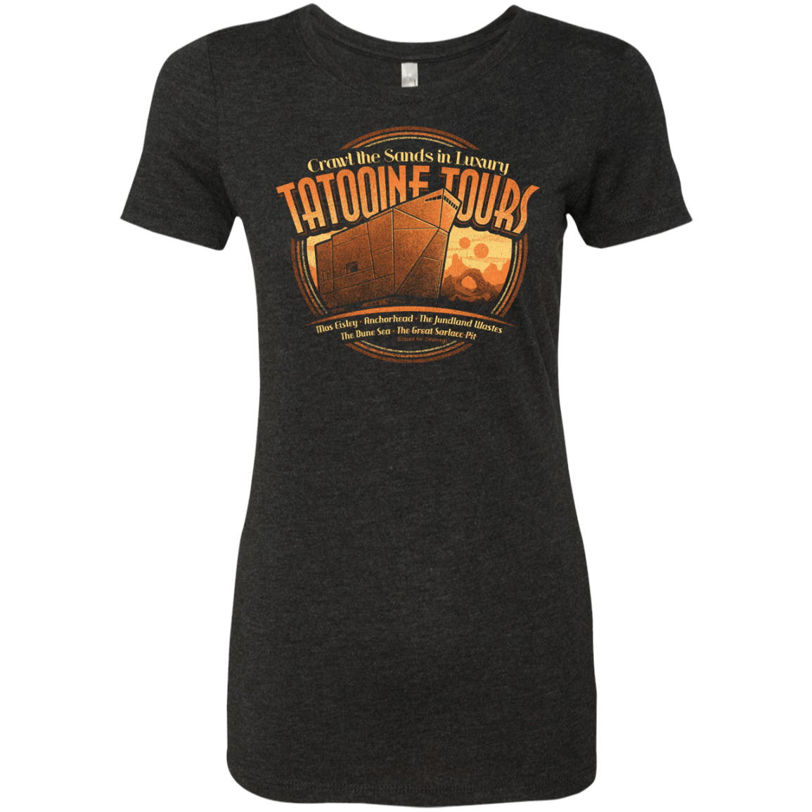 T-Shirts Vintage Black / S Tatooine Tours Women's Triblend T-Shirt