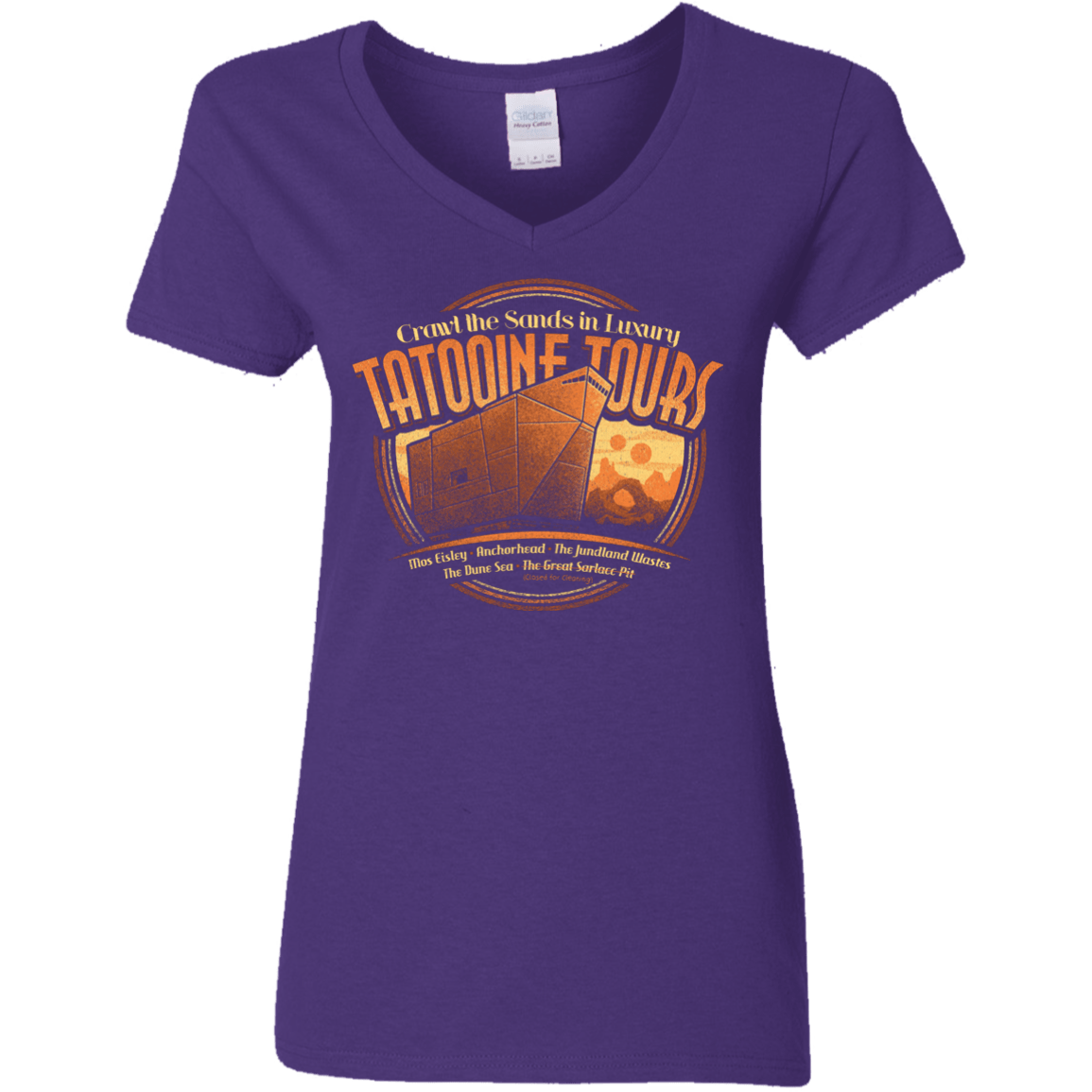 T-Shirts Purple / S Tatooine Tours Women's V-Neck T-Shirt