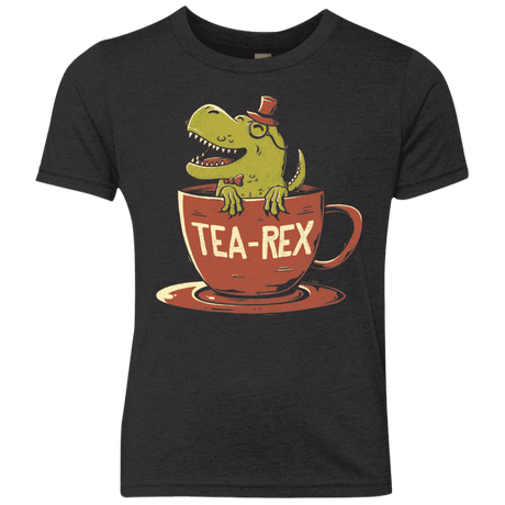 T-Shirts Vintage Black / YXS Tea-Rex Youth Triblend T-Shirt