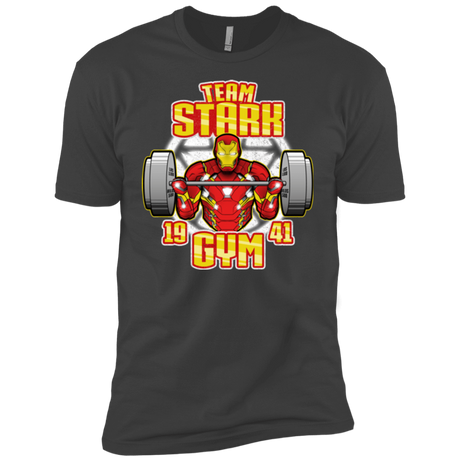 T-Shirts Heavy Metal / YXS Team Stark Gym Boys Premium T-Shirt