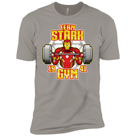 T-Shirts Light Grey / YXS Team Stark Gym Boys Premium T-Shirt