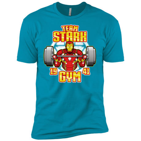 T-Shirts Turquoise / YXS Team Stark Gym Boys Premium T-Shirt