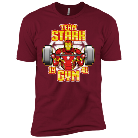 T-Shirts Cardinal / X-Small Team Stark Gym Men's Premium T-Shirt