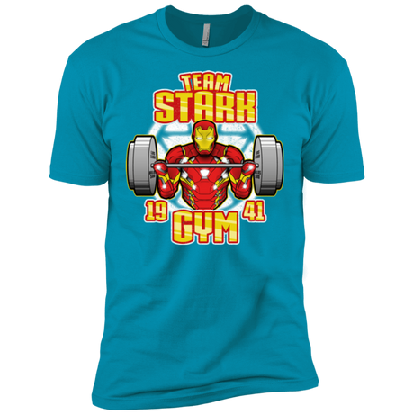 T-Shirts Turquoise / X-Small Team Stark Gym Men's Premium T-Shirt