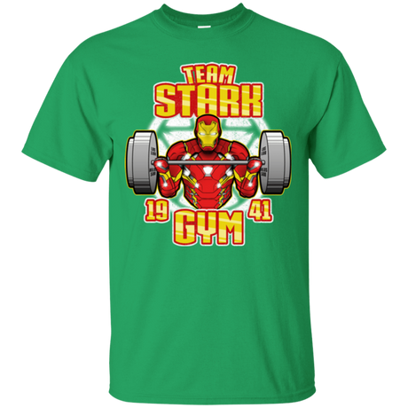 T-Shirts Irish Green / Small Team Stark Gym T-Shirt