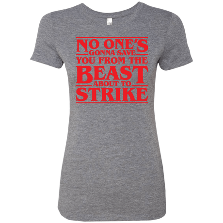 T-Shirts Premium Heather / Small The Beast Women's Triblend T-Shirt